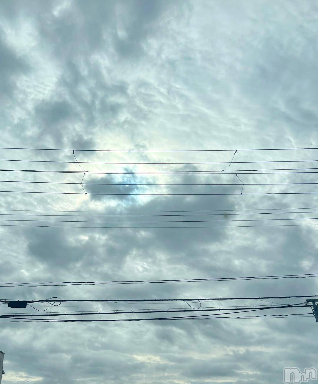 新潟デリヘル五十路マダム新潟店(カサブランカグループ)(イソジマダムニイガタテン)夏目みな(51)の2024年10月24日写メブログ「出さないでー」