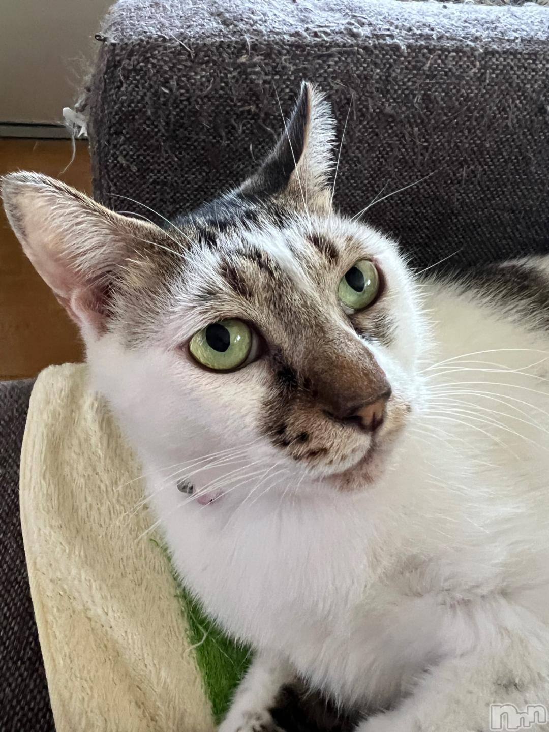 新潟デリヘル五十路マダム新潟店(カサブランカグループ)(イソジマダムニイガタテン)夏目みな(51)の2024年11月1日写メブログ「うるさい」