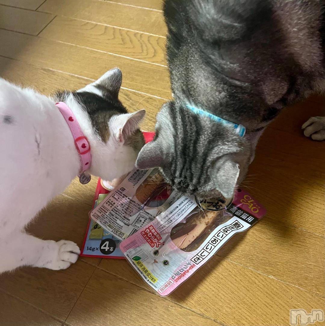 新潟デリヘル五十路マダム新潟店(カサブランカグループ)(イソジマダムニイガタテン)夏目みな(51)の2024年11月11日写メブログ「僕たちの」