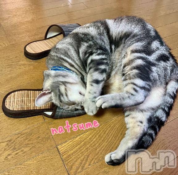 新潟デリヘル五十路マダム新潟店(カサブランカグループ)(イソジマダムニイガタテン)夏目みな(51)の2025年4月7日写メブログ「雨…」