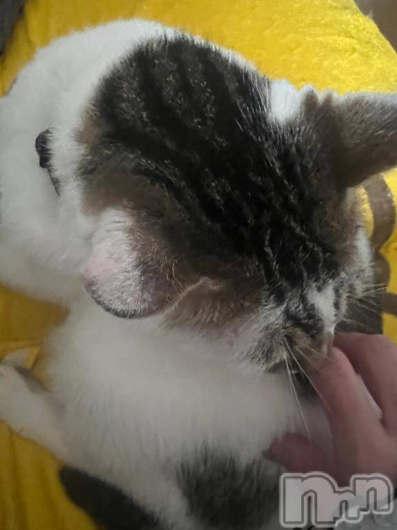 新潟デリヘル五十路マダム新潟店(カサブランカグループ)(イソジマダムニイガタテン)夏目みな(51)の2025年4月18日写メブログ「カメラ」