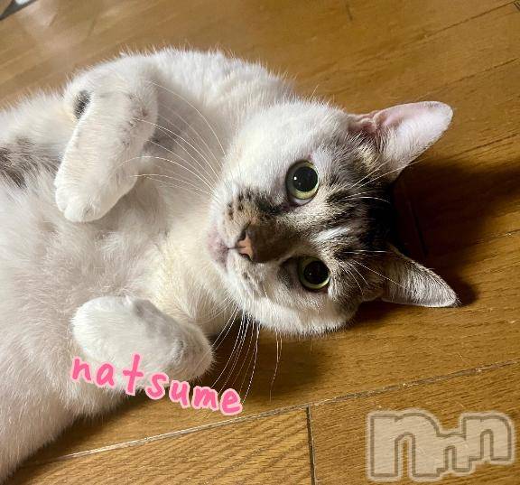 新潟デリヘル五十路マダム新潟店(カサブランカグループ)(イソジマダムニイガタテン)夏目みな(51)の2025年4月19日写メブログ「養育費の日」