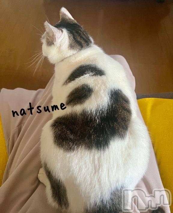 新潟デリヘル五十路マダム新潟店(カサブランカグループ)(イソジマダムニイガタテン)夏目みな(51)の2025年4月20日写メブログ「5秒」