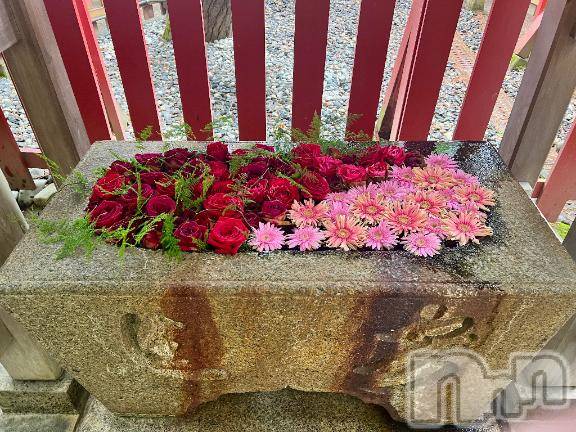 新潟デリヘル五十路マダム新潟店(カサブランカグループ)(イソジマダムニイガタテン)夏目みな(51)の2025年6月1日写メブログ「6月1日」