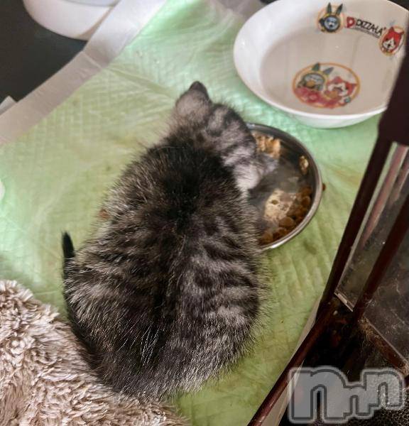 新潟デリヘル五十路マダム新潟店(カサブランカグループ)(イソジマダムニイガタテン)夏目みな(51)の2025年6月24日写メブログ「寝た…」