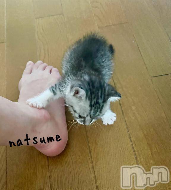 新潟デリヘル五十路マダム新潟店(カサブランカグループ)(イソジマダムニイガタテン)夏目みな(51)の2025年6月25日写メブログ「おてんば」