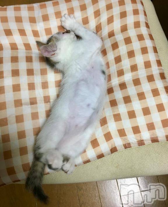 新潟デリヘル五十路マダム新潟店(カサブランカグループ)(イソジマダムニイガタテン)夏目みな(51)の2025年7月1日写メブログ「2025/07/01」