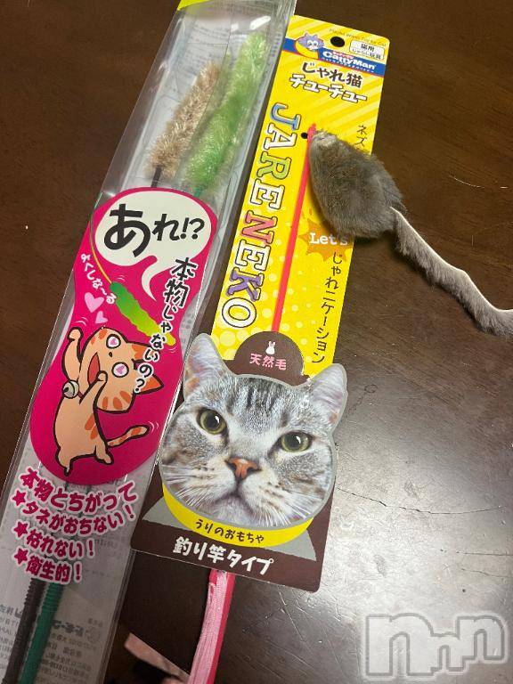 新潟デリヘル五十路マダム新潟店(カサブランカグループ)(イソジマダムニイガタテン)夏目みな(51)の2025年7月21日写メブログ「野生にかえる」