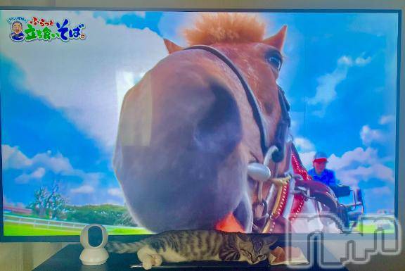 新潟デリヘル五十路マダム新潟店(カサブランカグループ)(イソジマダムニイガタテン)夏目みな(51)の2025年8月19日写メブログ「うるさくない？」