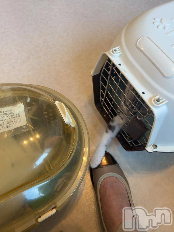 新潟デリヘル五十路マダム新潟店(カサブランカグループ)(イソジマダムニイガタテン)夏目みな(51)の2025年8月20日写メブログ「[お題]from:ひまーさん」