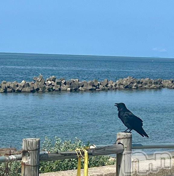 新潟デリヘル五十路マダム新潟店(カサブランカグループ)(イソジマダムニイガタテン)夏目みな(51)の2025年9月19日写メブログ「お月見から葡萄」