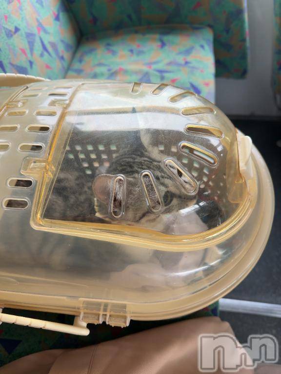 新潟デリヘル五十路マダム新潟店(カサブランカグループ)(イソジマダムニイガタテン)夏目みな(51)の2025年10月28日写メブログ「生まれて初めて」