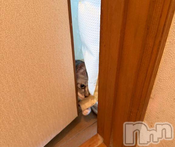 新潟デリヘル五十路マダム新潟店(カサブランカグループ)(イソジマダムニイガタテン)夏目みな(51)の2026年2月21日写メブログ「毎回毎回」