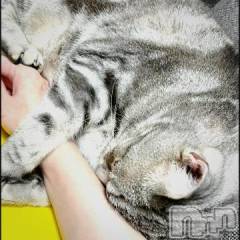 新潟デリヘル五十路マダム新潟店(カサブランカグループ)(イソジマダムニイガタテン) 夏目みな(51)の8月5日写メブログ「ウチの子」