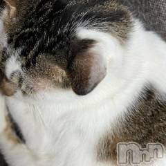 新潟デリヘル五十路マダム新潟店(カサブランカグループ)(イソジマダムニイガタテン) 夏目みな(51)の10月7日写メブログ「寒い」