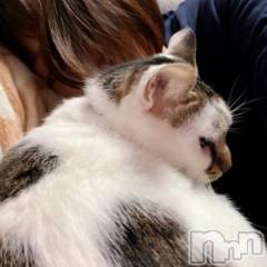 新潟デリヘル五十路マダム新潟店(カサブランカグループ)(イソジマダムニイガタテン) 夏目みな(51)の1月2日写メブログ「明日」