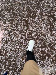 新潟デリヘル五十路マダム新潟店(カサブランカグループ)(イソジマダムニイガタテン) 夏目みな(52)の4月7日写メブログ「明日」