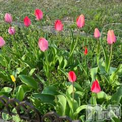 新潟デリヘル五十路マダム新潟店(カサブランカグループ)(イソジマダムニイガタテン) 夏目みな(51)の4月13日写メブログ「[お題]from:幸せであってほしいさん」