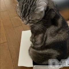 新潟デリヘル五十路マダム新潟店(カサブランカグループ)(イソジマダムニイガタテン) 夏目みな(51)の5月2日写メブログ「ぎゅーぎゅー」