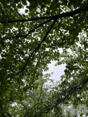 新潟デリヘル五十路マダム新潟店(カサブランカグループ)(イソジマダムニイガタテン) 夏目みな(51)の5月7日写メブログ「雨…」