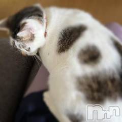 新潟デリヘル五十路マダム新潟店(カサブランカグループ)(イソジマダムニイガタテン) 夏目みな(51)の5月23日写メブログ「こんにちは」