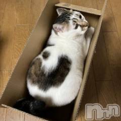 新潟デリヘル五十路マダム新潟店(カサブランカグループ)(イソジマダムニイガタテン) 夏目みな(51)の6月1日写メブログ「今日も…」