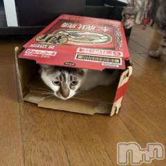 新潟デリヘル五十路マダム新潟店(カサブランカグループ)(イソジマダムニイガタテン) 夏目みな(51)の6月21日写メブログ「通常通り」