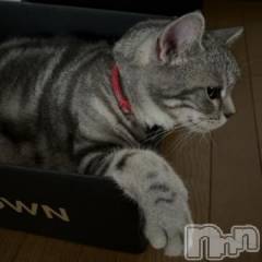 新潟デリヘル五十路マダム新潟店(カサブランカグループ)(イソジマダムニイガタテン) 夏目みな(52)の7月1日写メブログ「おはようございます」