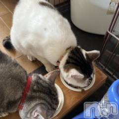 新潟デリヘル五十路マダム新潟店(カサブランカグループ)(イソジマダムニイガタテン) 夏目みな(52)の7月3日写メブログ「おととい…」