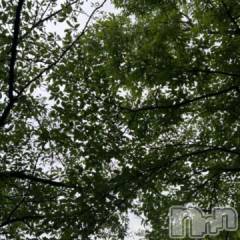 新潟デリヘル五十路マダム新潟店(カサブランカグループ)(イソジマダムニイガタテン) 夏目みな(51)の7月10日写メブログ「へこむ…」