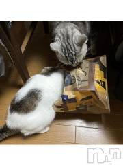 新潟デリヘル五十路マダム新潟店(カサブランカグループ)(イソジマダムニイガタテン) 夏目みな(52)の7月15日写メブログ「おはようございます」