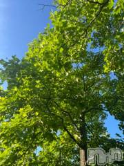 新潟デリヘル五十路マダム新潟店(カサブランカグループ)(イソジマダムニイガタテン) 夏目みな(51)の7月27日写メブログ「はじめて」