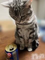 新潟デリヘル五十路マダム新潟店(カサブランカグループ)(イソジマダムニイガタテン) 夏目みな(51)の9月11日写メブログ「おはようございます」