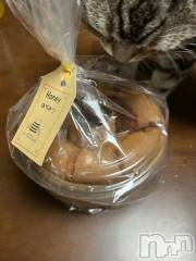 新潟デリヘル五十路マダム新潟店(カサブランカグループ)(イソジマダムニイガタテン) 夏目みな(51)の10月2日写メブログ「おはようございます」