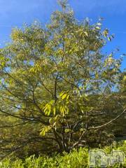 新潟デリヘル五十路マダム新潟店(カサブランカグループ)(イソジマダムニイガタテン) 夏目みな(51)の10月16日写メブログ「おはようございます」