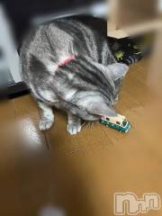 新潟デリヘル五十路マダム新潟店(カサブランカグループ)(イソジマダムニイガタテン) 夏目みな(52)の10月24日写メブログ「おもちゃ」
