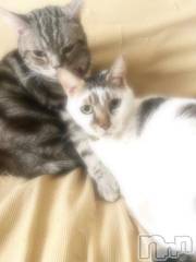 新潟デリヘル五十路マダム新潟店(カサブランカグループ)(イソジマダムニイガタテン) 夏目みな(51)の11月12日写メブログ「おはようございます」