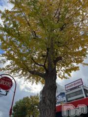 新潟デリヘル五十路マダム新潟店(カサブランカグループ)(イソジマダムニイガタテン) 夏目みな(51)の11月14日写メブログ「終わったー」