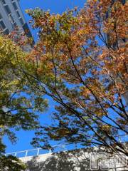 新潟デリヘル五十路マダム新潟店(カサブランカグループ)(イソジマダムニイガタテン) 夏目みな(51)の11月23日写メブログ「寒い」