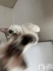 新潟デリヘル五十路マダム新潟店(カサブランカグループ)(イソジマダムニイガタテン) 夏目みな(51)の12月11日写メブログ「おはようございます」