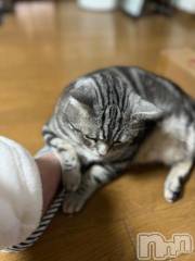 新潟デリヘル五十路マダム新潟店(カサブランカグループ)(イソジマダムニイガタテン) 夏目みな(51)の2月22日写メブログ「微妙に」