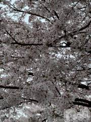 新潟デリヘル五十路マダム新潟店(カサブランカグループ)(イソジマダムニイガタテン) 夏目みな(51)の3月20日写メブログ「4/6」