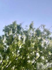 新潟デリヘル五十路マダム新潟店(カサブランカグループ)(イソジマダムニイガタテン) 夏目みな(51)の4月26日写メブログ「失敗した」