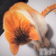 新潟デリヘル五十路マダム新潟店(カサブランカグループ)(イソジマダムニイガタテン) 夏目みな(52)の5月11日写メブログ「あ…」