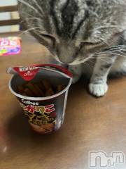 新潟デリヘル五十路マダム新潟店(カサブランカグループ)(イソジマダムニイガタテン) 夏目みな(51)の10月11日写メブログ「ん？？」