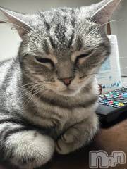 新潟デリヘル五十路マダム新潟店(カサブランカグループ)(イソジマダムニイガタテン) 夏目みな(51)の10月23日写メブログ「[お題]from:止まんねーさん」