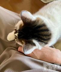 新潟デリヘル五十路マダム新潟店(カサブランカグループ)(イソジマダムニイガタテン) 夏目みな(51)の11月3日写メブログ「そろそろ」