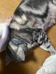 新潟デリヘル五十路マダム新潟店(カサブランカグループ)(イソジマダムニイガタテン) 夏目みな(52)の3月26日写メブログ「時々甘える」