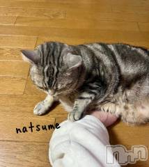 新潟デリヘル五十路マダム新潟店(カサブランカグループ)(イソジマダムニイガタテン) 夏目みな(51)の4月6日写メブログ「今日も」