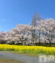 新潟デリヘル五十路マダム新潟店(カサブランカグループ)(イソジマダムニイガタテン) 夏目みな(51)の4月14日写メブログ「今日で」